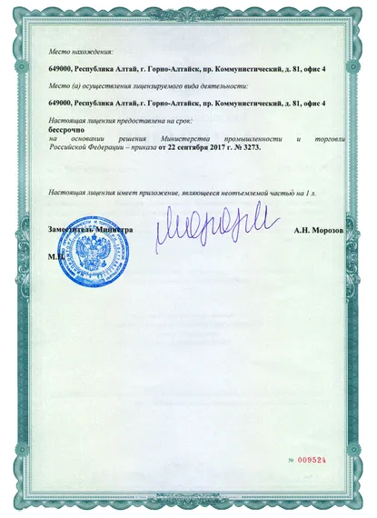 Профессиональный фейерверк под музыку с выездом пиротехников по Республике Алтай