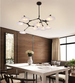 Ceiling design lamp  Branching Discs by Lindsey Adelman (5 lampshades,  Black)
