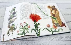 Книгапредставление/Аленький цветочек