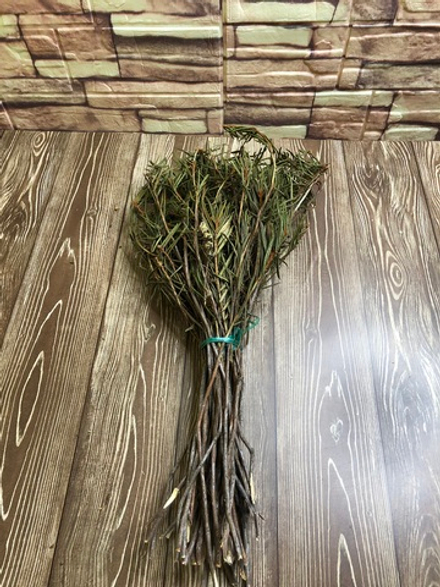 Сбор трав «Багульник»