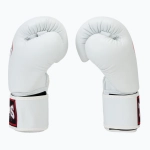 Боксёрские перчатки Twins Special BGVS3 white