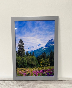 Фотография для интерьера "Домбай"