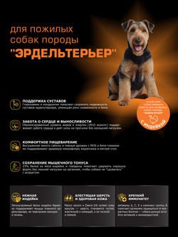 Корм сухой для пожилых собак породы Эрдельтерьер старше 5 лет, с индейкой, 12 кг, QUATTRO