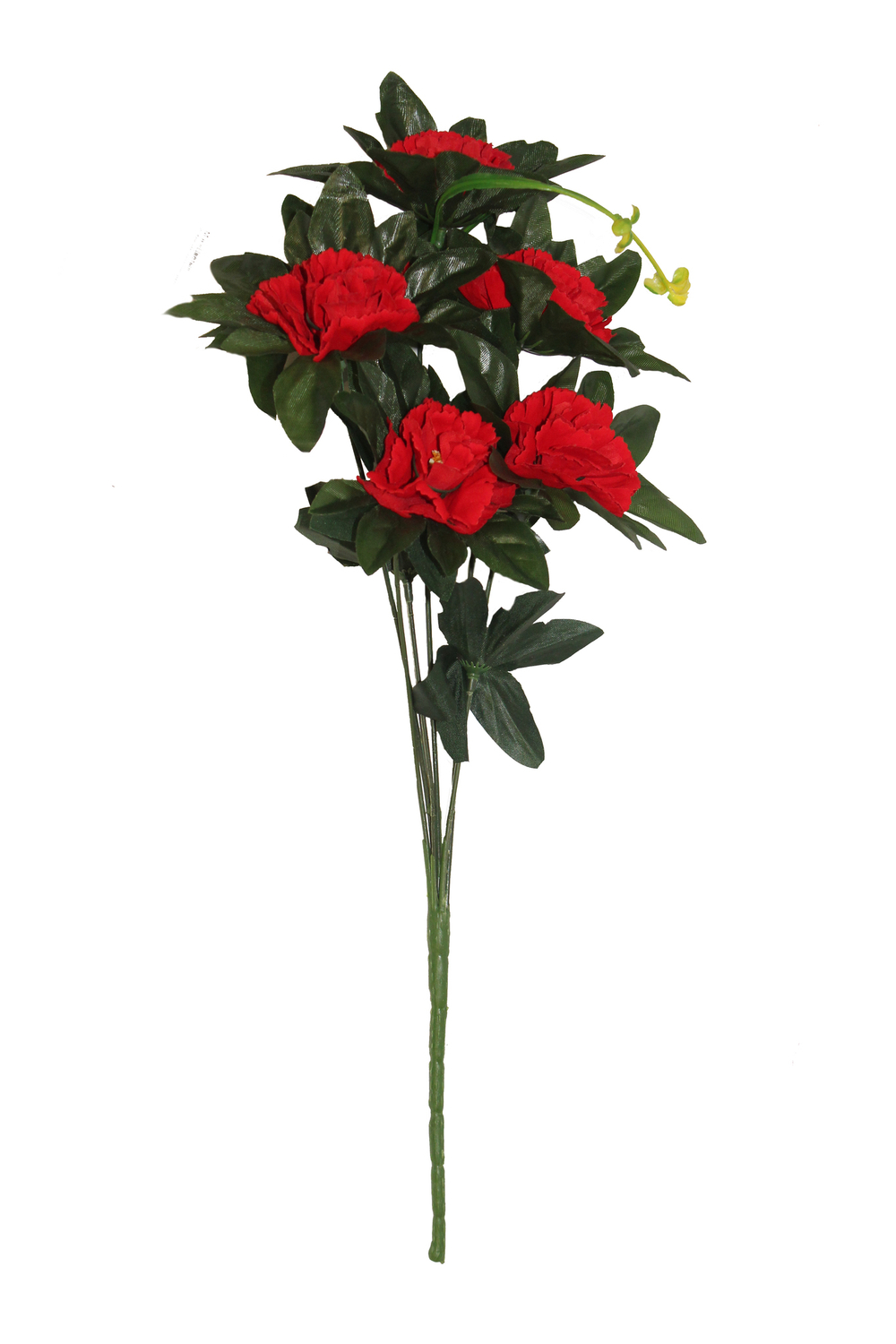 Букет гвоздик бархат