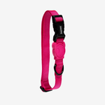 Ошейник PINK LED Zee.Dog