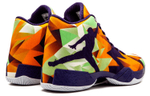 Кроссовки Jordan Air Jordan 29 Hare