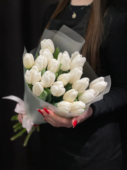 19 белоснежных тюльпанов