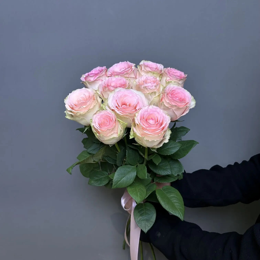 Букет 11 нежных роз под ленту (э)