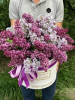 Ароматная сирень в белой подарочной коробке "Maison des fleurs"