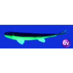 Слаг силиконовый Vido Craft Sebastian (20см / 8"), 2шт