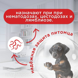 Суспензия для собак от гельминтов и лямблий Празицид Плюс APICENNA, 10мл. Фебантел/Пирантел/ Празиквантел