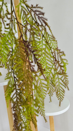 Аспарагус / Арт 4427