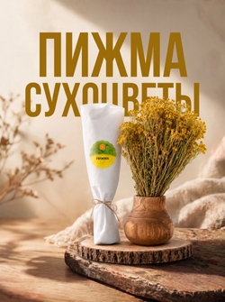 Пижма (пучок)