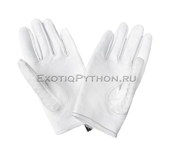 Перчатки из кожи питона AC-54
