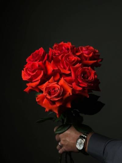 Алые розы сорт «Nina» (Эквадор)