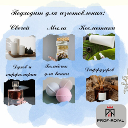 Prof-Royal отдушка парфюмерная SHAWN CLASSIC для свечей, мыла и диффузоров, 100 мл