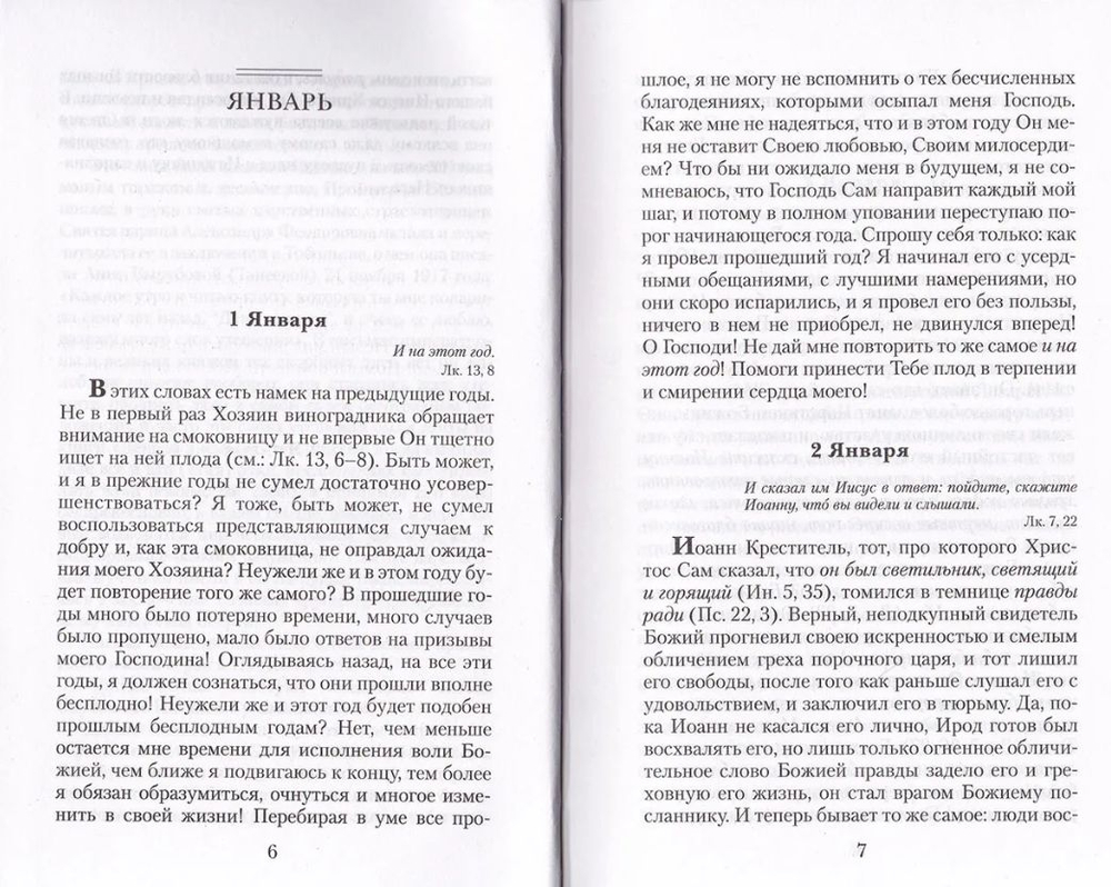 День за днем. Дневник православного священника
