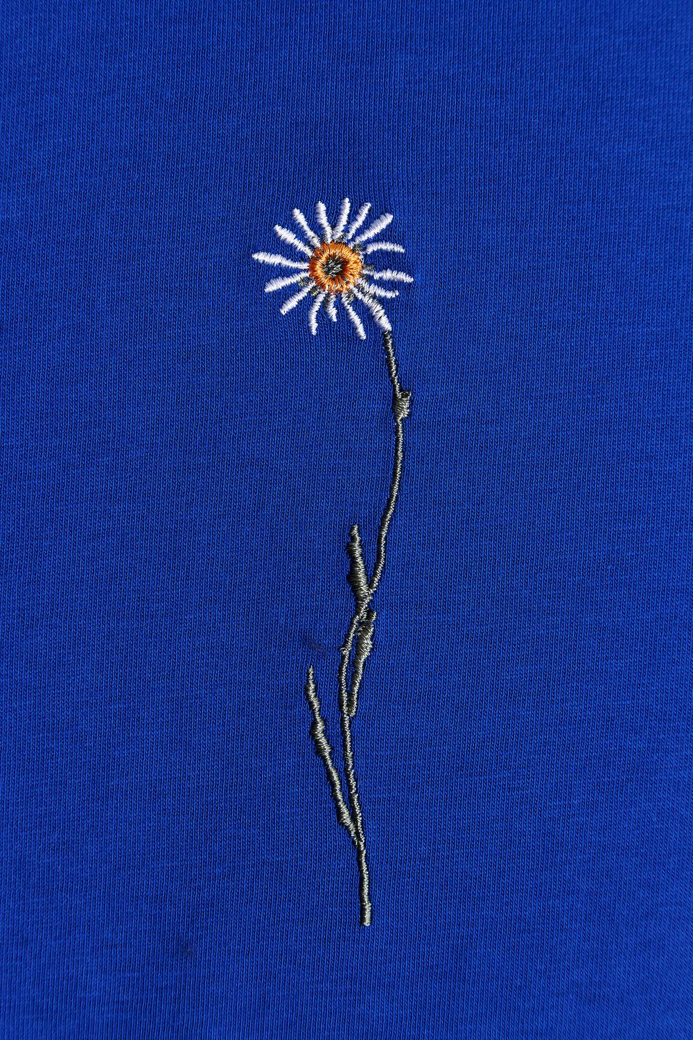 Лонгслив Гербарий Ромашка Ярко-синий