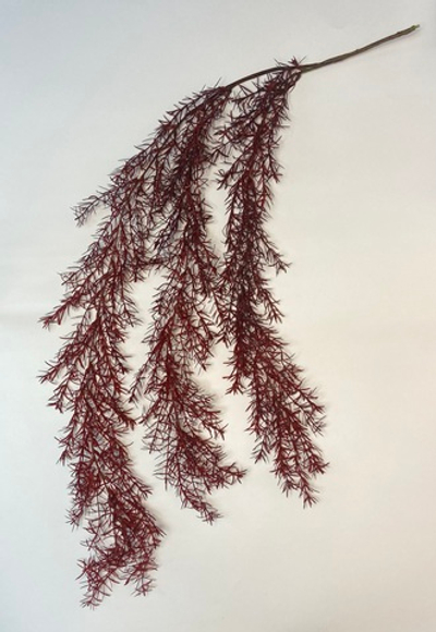 Аспарагус красный силикон