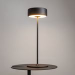 Аккумуляторный светильник Maytoni MOD229TL-L3B3K2