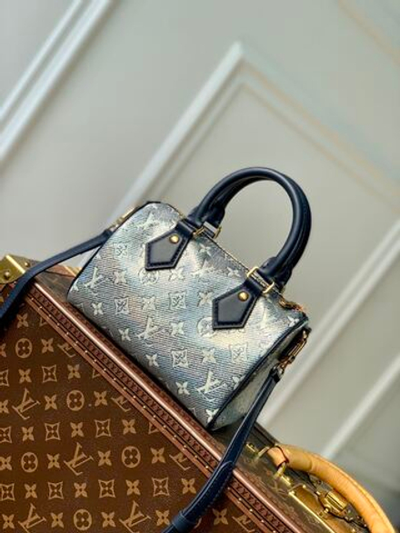 Louis Vuitton Speedy 20