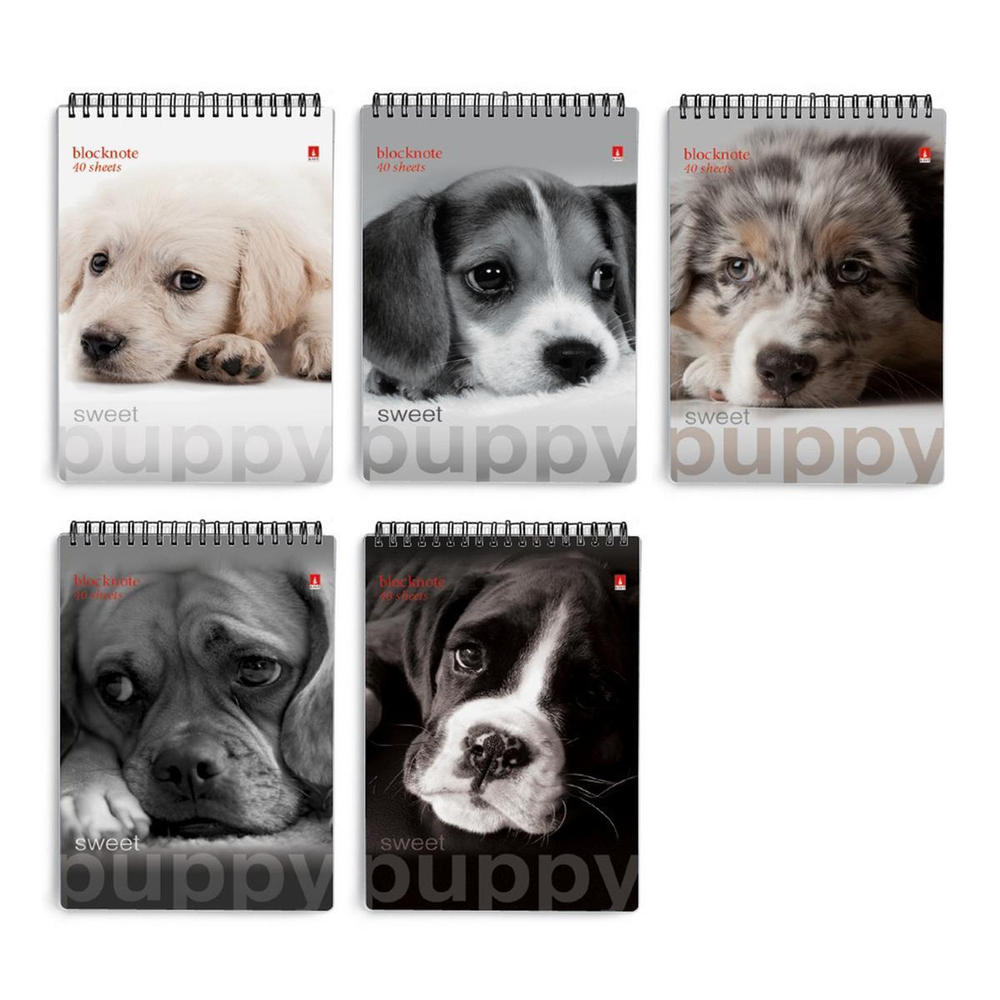 Блокнот А7 40л. клетка, на гребне "Чудо-щеночки" 5 видов (Альт)