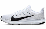 Кроссовки Nike Quest 2