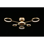 Потолочная светодиодная люстра Aployt Didian APL.015.07.33