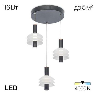 CL202031 Майя Черный Св-к Подвес