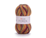 FORZA