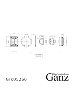 Подшипник ступицы задний SUZUKI Swift III 05-> GANZ GIK05260