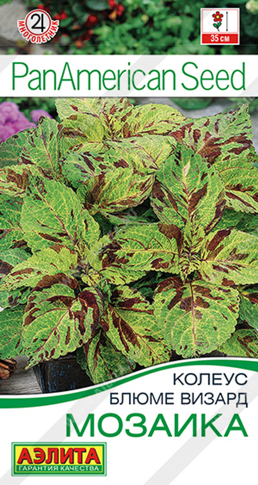 Колеус блюме Мозаика 5 шт (Аэлита)