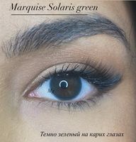 Натуральные темно зеленые цветные линзы Marquise Solaris green / Цветные темно зеленые линзы для темных и светлых глаз / 12 месяцев