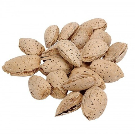 Миндаль в скорлупе сырой