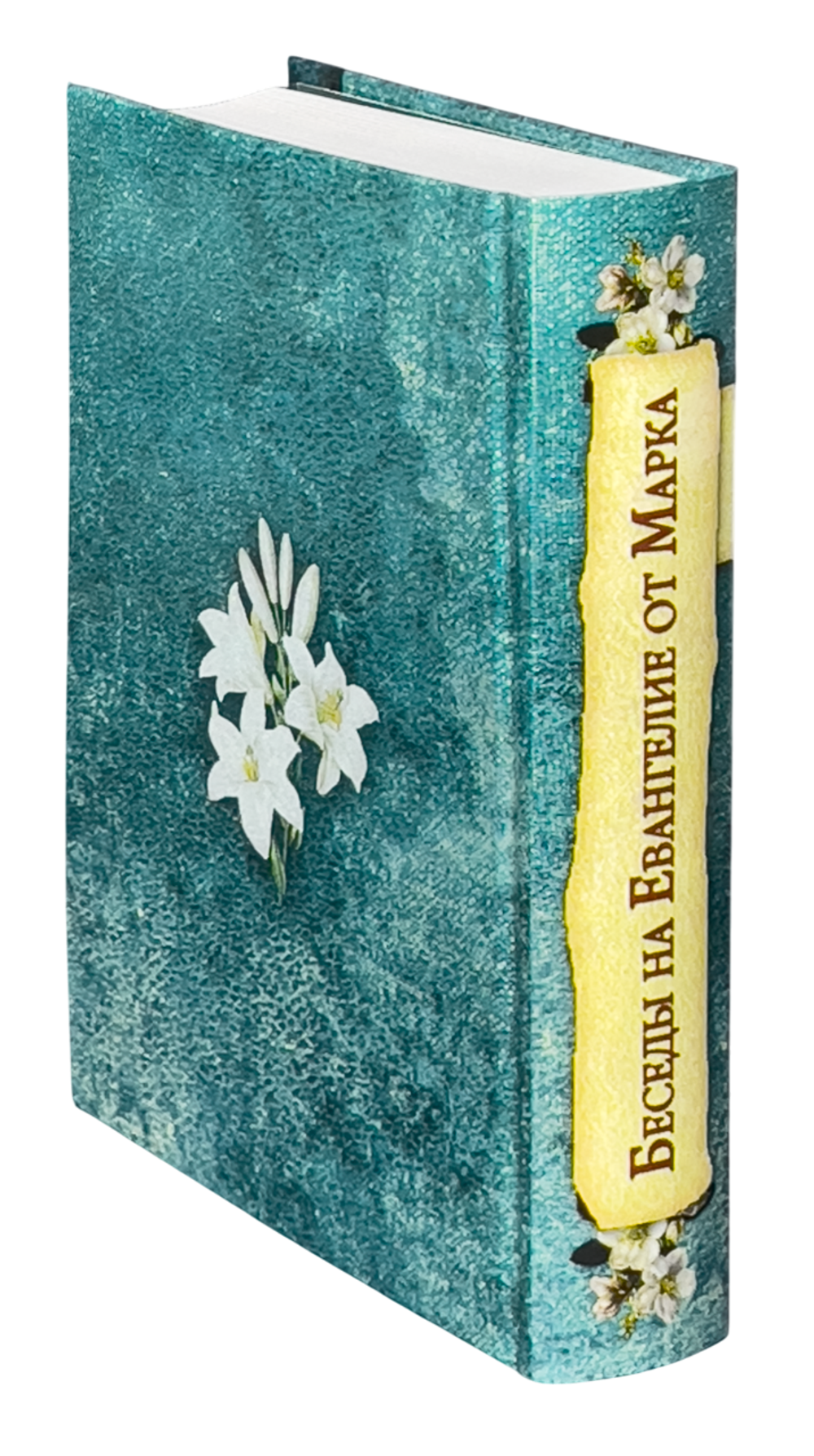 IMG_3966-Photoroom (1)