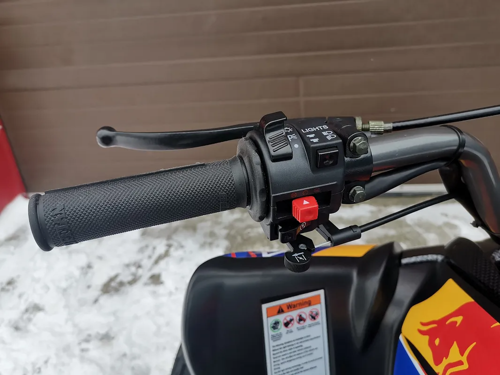 Квадроцикл PROMAX RAPTOR 300 NEW