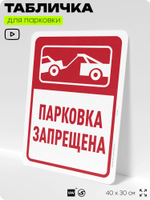 Табличка для парковки "Парковка запрещена", для дома, офиса, организаций, 40х30 см, Silver Plane x Айдентика Технолоджи