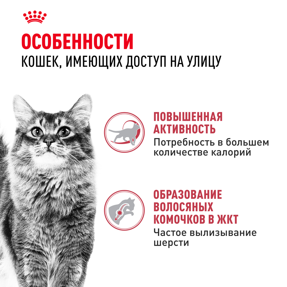 Royal Canin Fit 32 Корм сухой сбалансированный для взрослых умеренно активных кошек от 1 года - 0,4 кг