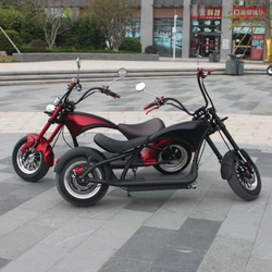 Электроскутер CityCoco Skyboard BR-55 Harley Pro 2000W 20AH/60V
