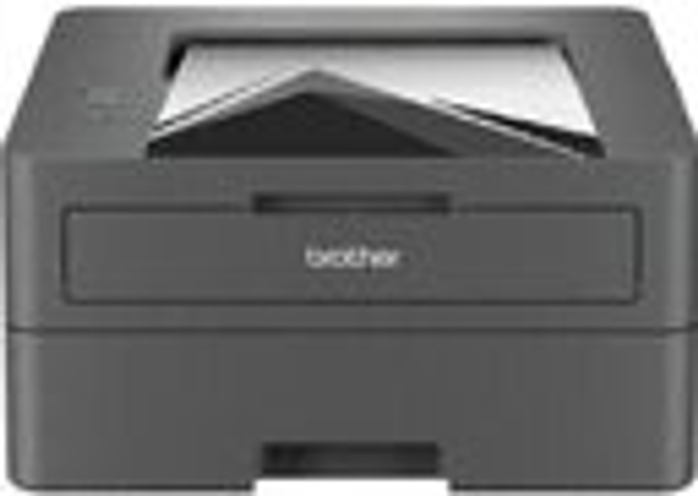 Лазерный принтер Brother HL-L2460DN