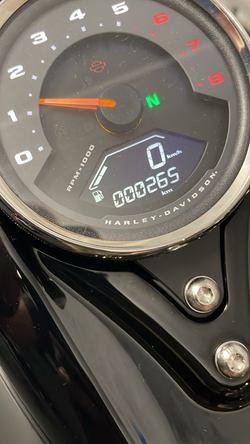 Harley-Davidson Fat Bob, 2018