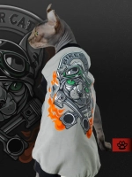 Одежда для кошек сфинкс