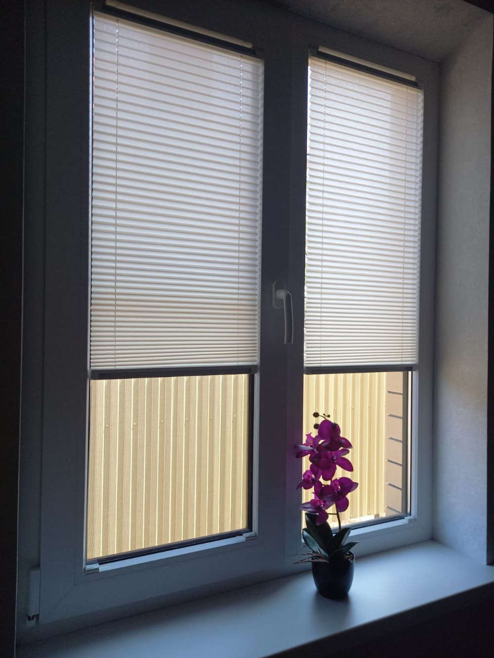 Шторы плиссе по индивидуальным размерам