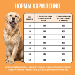 Сухой корм Bowl Wow для собак крупных пород, с индейкой, курицей, рисом и тыквой - 2 кг
