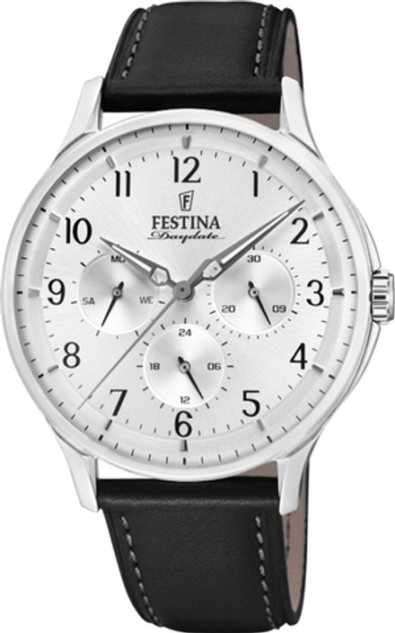 Мужские наручные часы Festina F16991/1