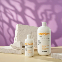 Бальзам-кондиционер для поврежденных волос Revival Ambient Tefia, 250 мл