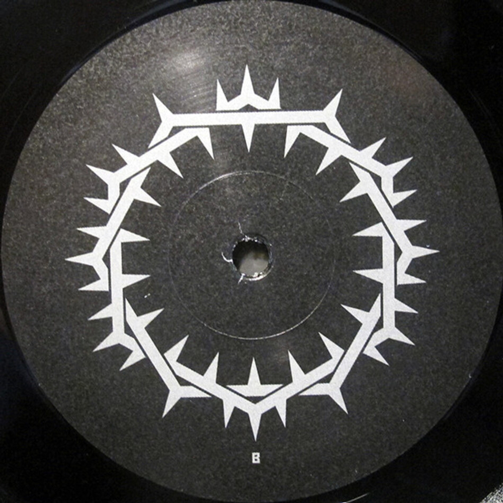 Rammstein / XXI (Limited Edition)(14LP)