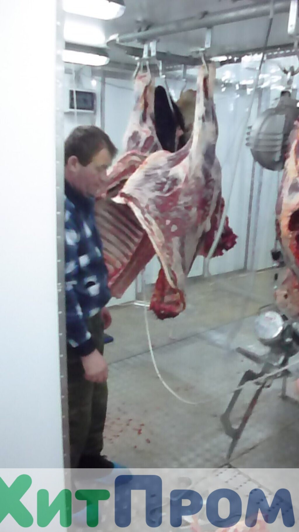Комплекс убоя и переработки КРС до 20 голов/смена и МРС до 200 голов/смена. р. Татарстан