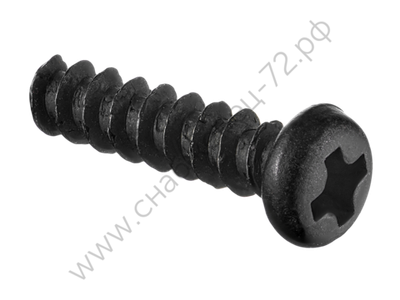 Винт М2.5×10 мм (CS 50-101) IFT0873