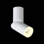 ST107.502.10 Светильник потолочный Белый LED 1*10W 3000K 780Lm Ra&gt;80  D50xH168 170-240V Накладные светильники